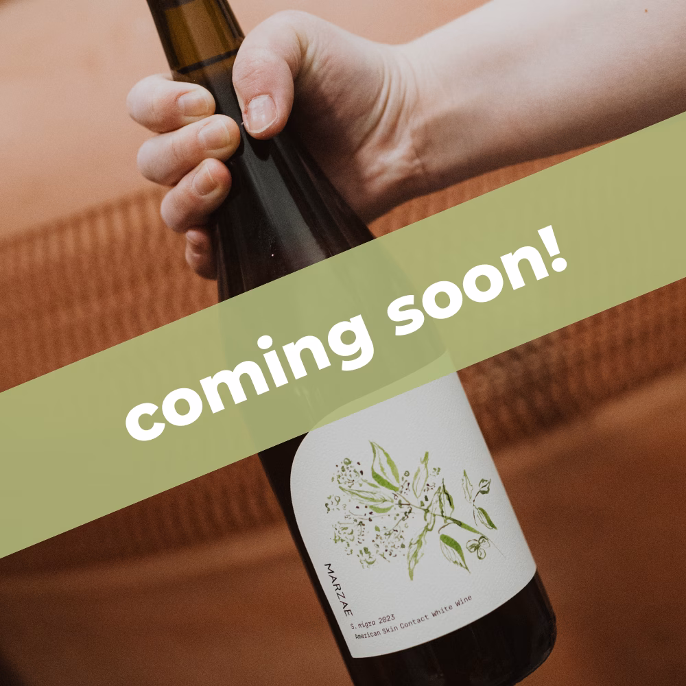 Marzae Cellar + Provisions coming soon to Boston Public Market hand holding wine bottle